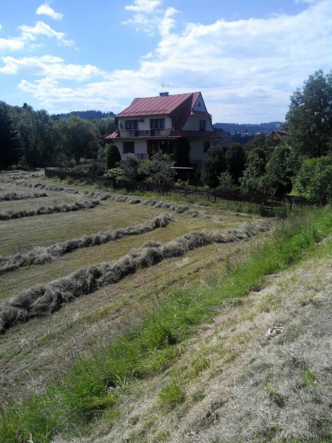 Apartament Widok Czarna Góra Exterior foto